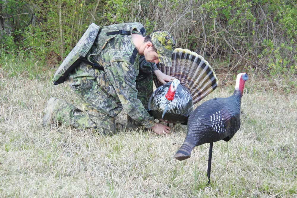 Turkey hunting tips: Turkey hunters should set up decoys.