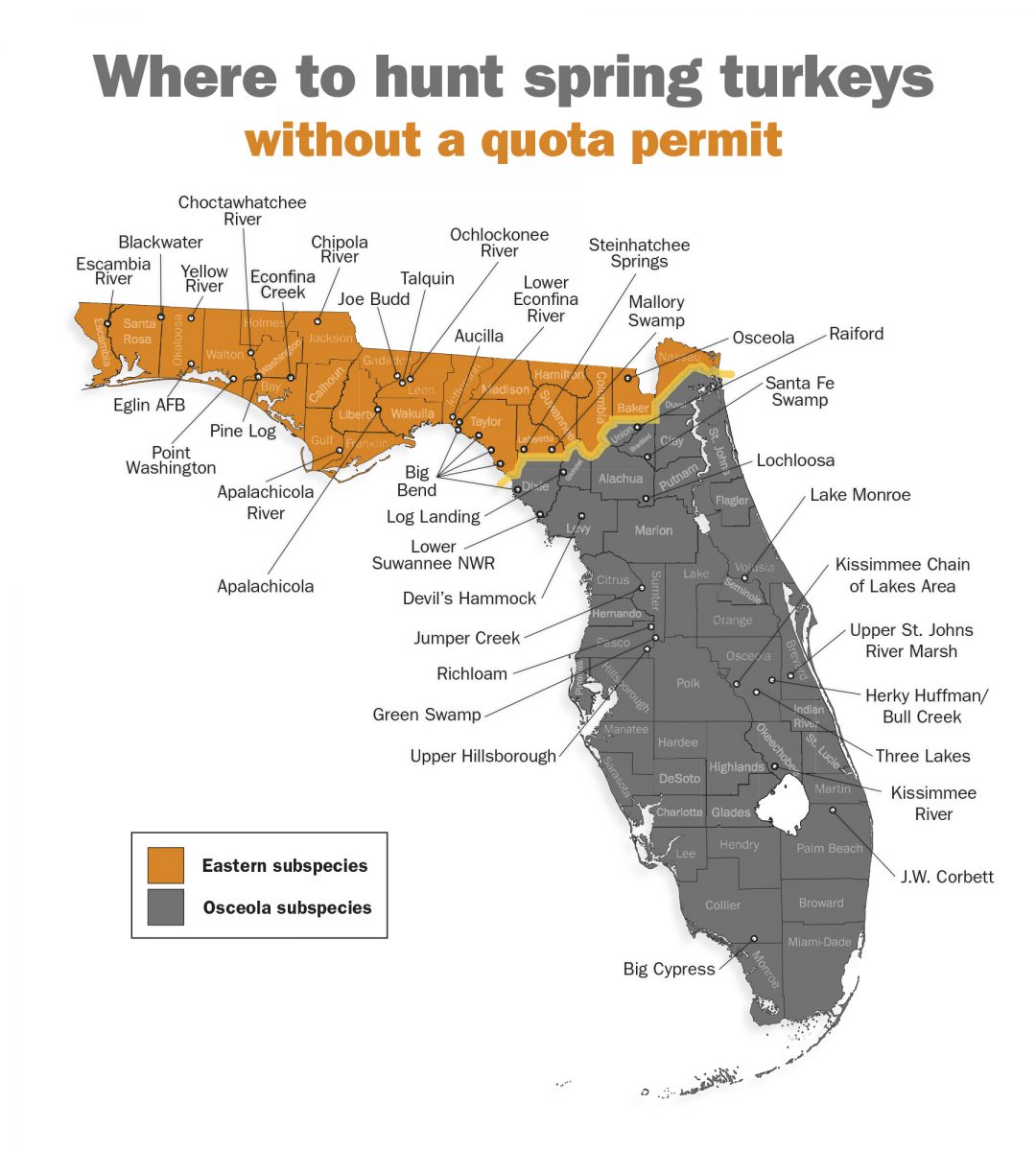 Hunting Spring Turkeys Without a Quota Permit Great Days Outdoors