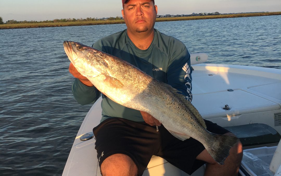 Spotlight: Angler catches 9.22# Speck