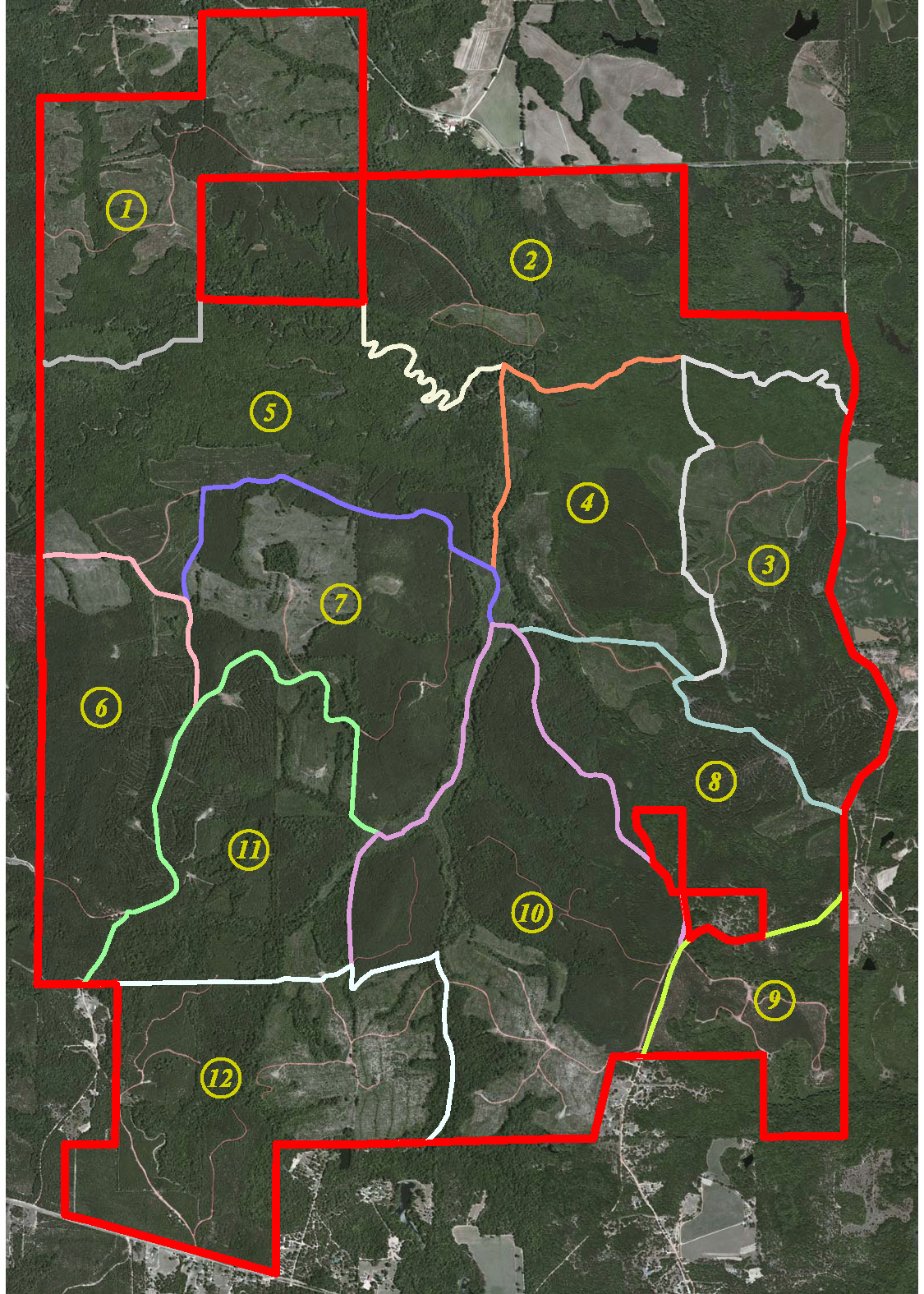 OneofaKind Hunting Opportunity for Alabama’s Public Land Hunters Great Days Outdoors
