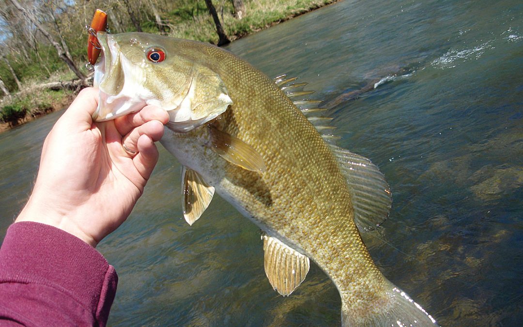 October Smallmouth Bass Fishing: North Alabama