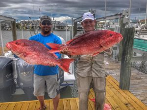 two hook rig