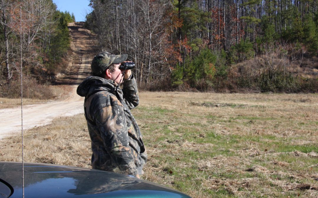 Early Season Deer Hunting Tips for Alabama