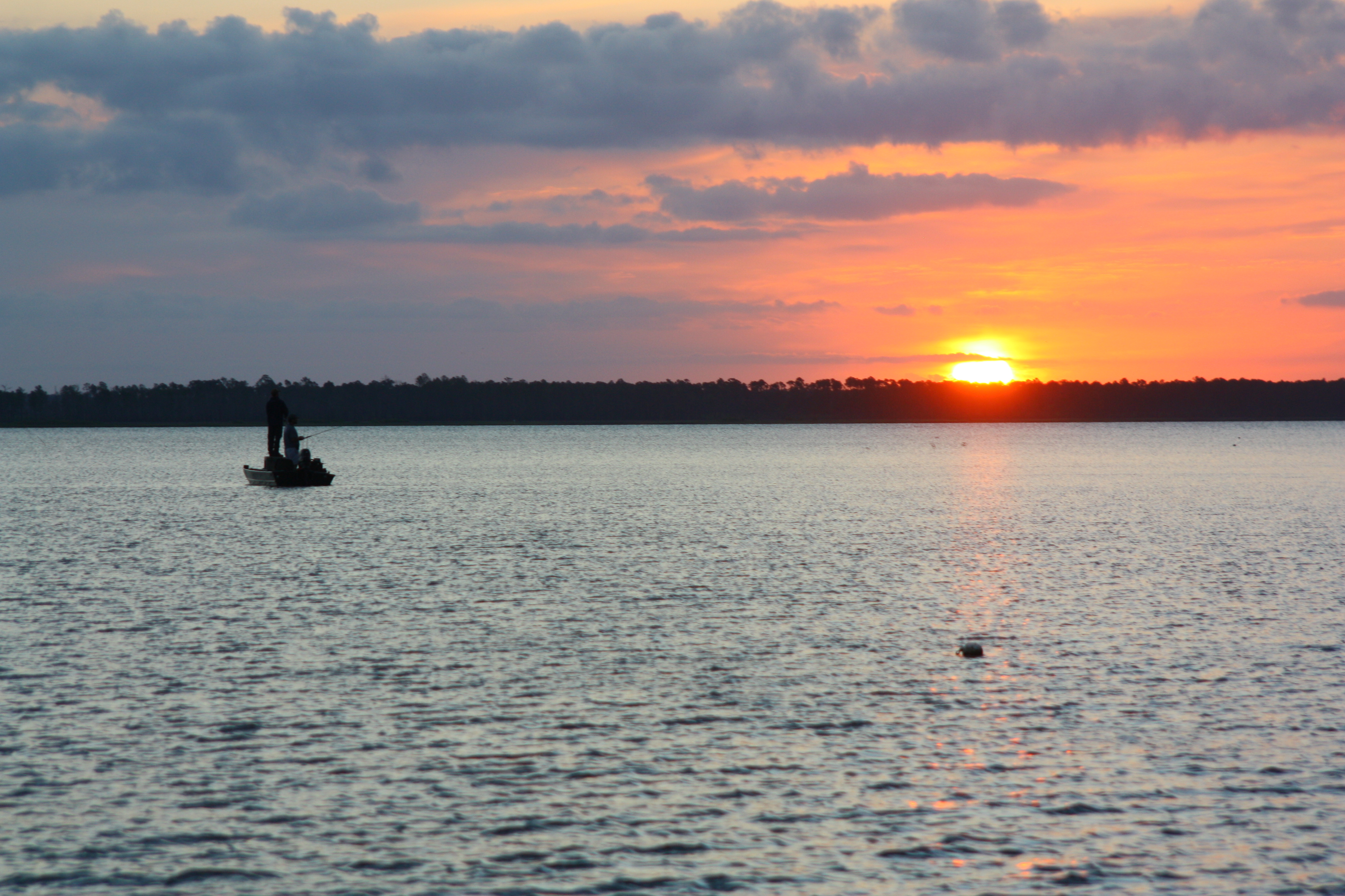 To find some perfect Mobile Bay fishing spots check out the western shore.