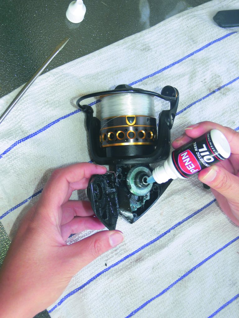 11 Steps to Maintain Your Spinning Reel Great Days Outdoors