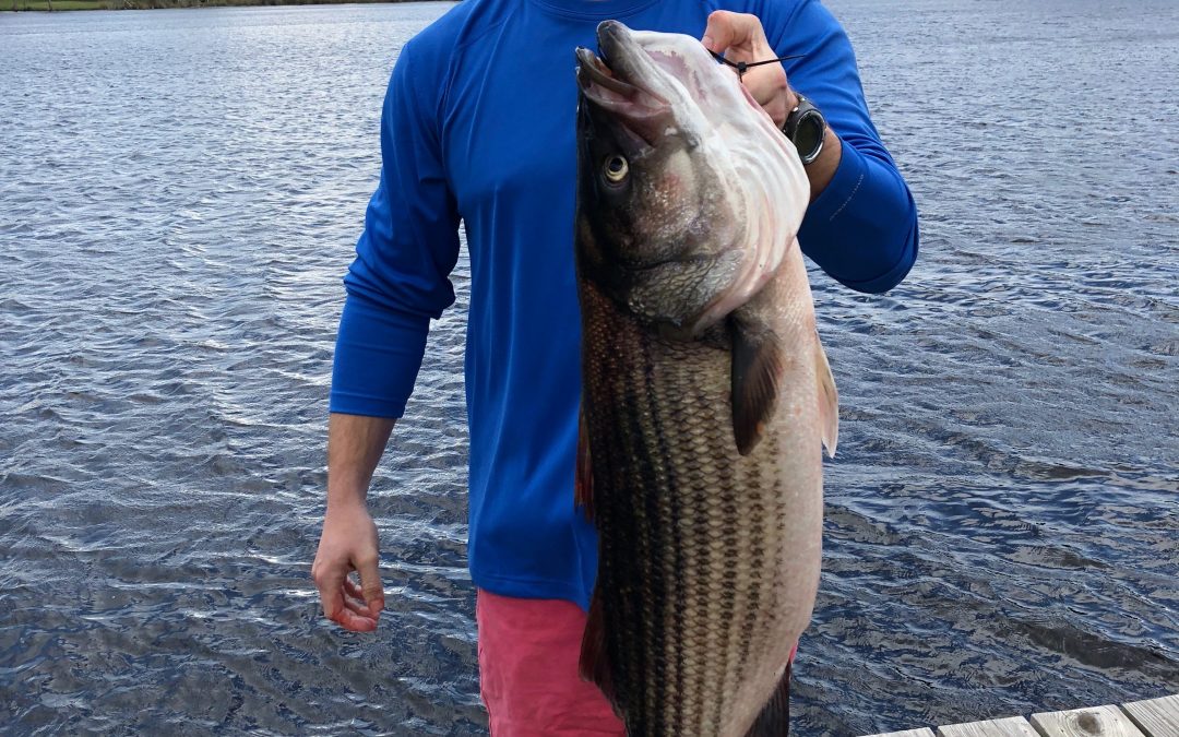 Hey Siri! iPhone Helps Angler Make Rare Catch