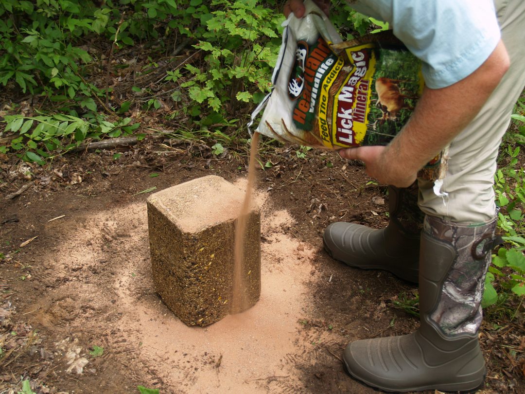 Hunting Prep Shed Hunting And Deer Mineral Site Great Days Outdoors