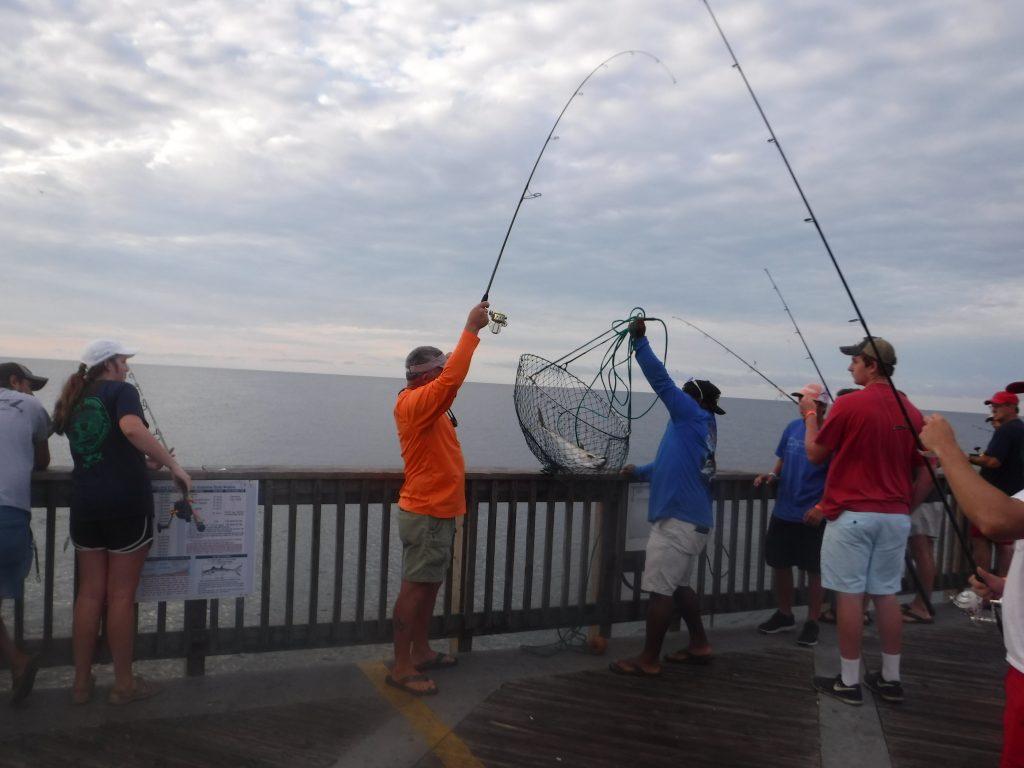 June's Pier & Shore Fishing Forecast Great Days Outdoors