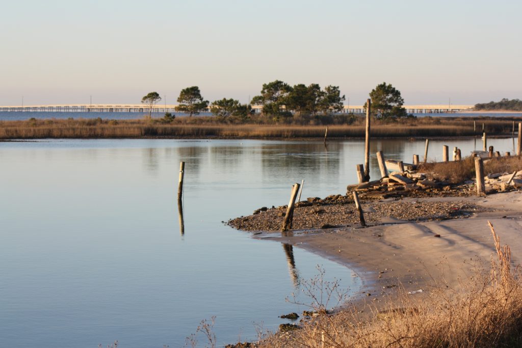 Fall Flounder Fishing On The Gulf Coast Great Days Outdoors