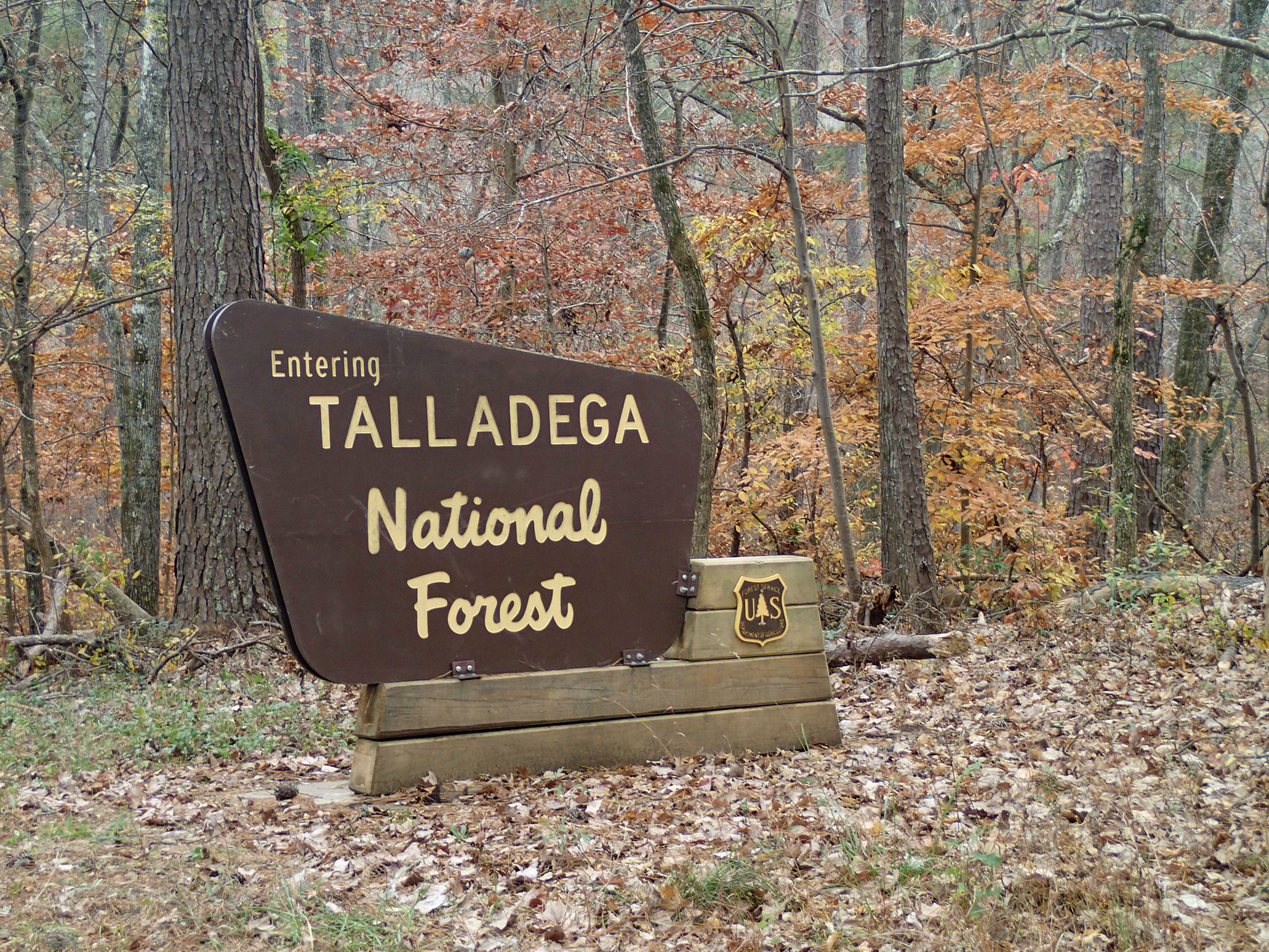 In the east-central sections of the Cotton State, the Talladega National Forest (TNF) covers over 392,000 acres.