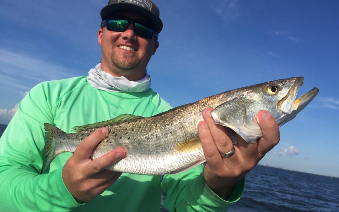 Speckled Trout Fishing: My introduction to the Slick Lure