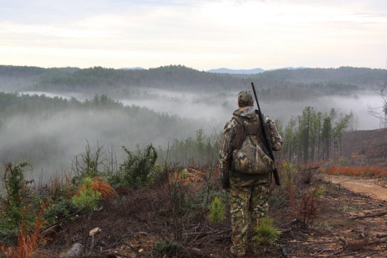 Land Appraisal Hunting Land in Alabama Great Day Outdoors