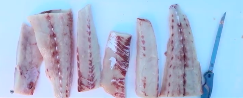 how to fillet a cobia