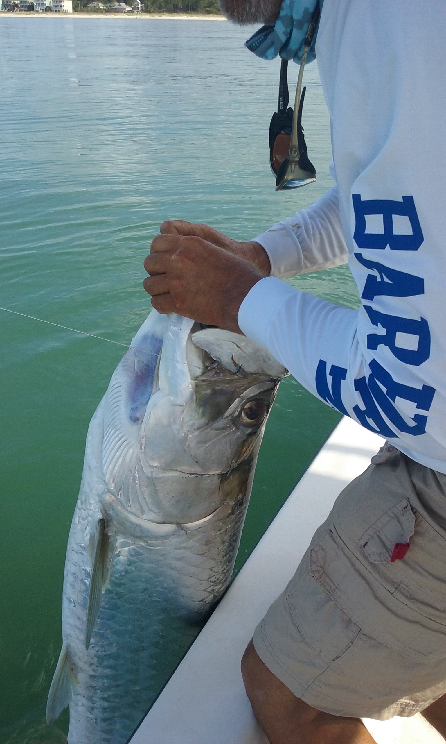 best tarpon fishing in Florida
