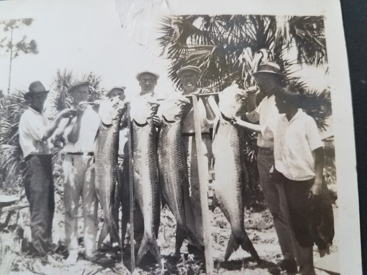 Is Indian Pass the Best Tarpon Fishing in Florida? Great Days Outdoors