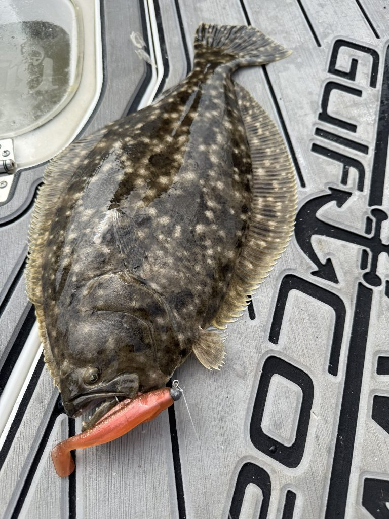 flounder caught on a soft plastic