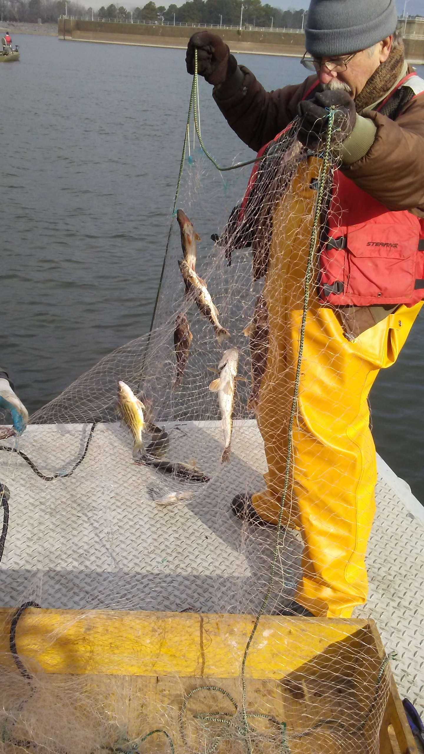 sauger fishing Alabama