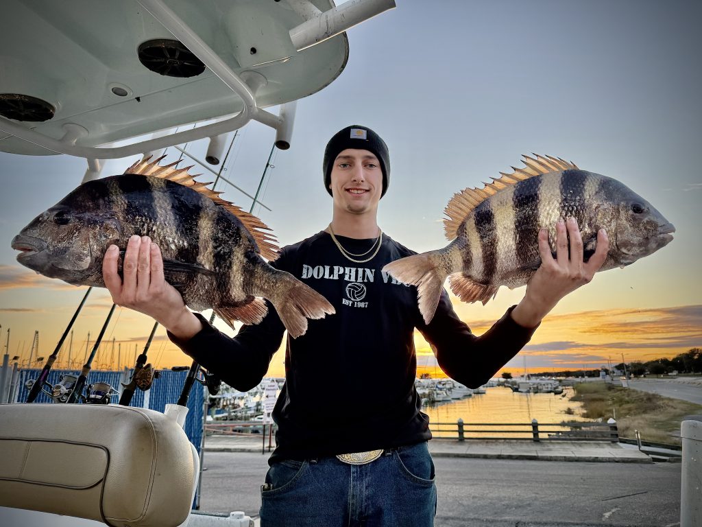 how to catch sheepshead