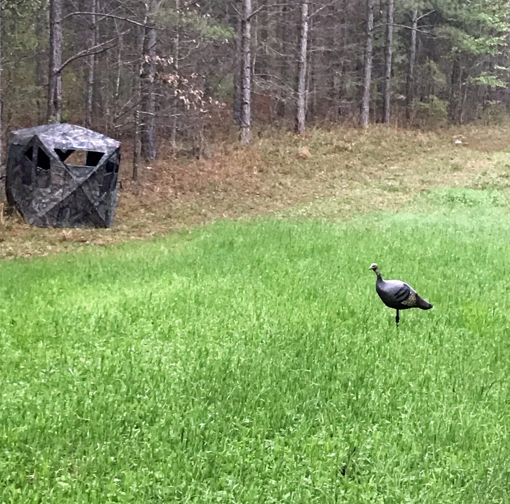 best weather for turkey hunting in the rain