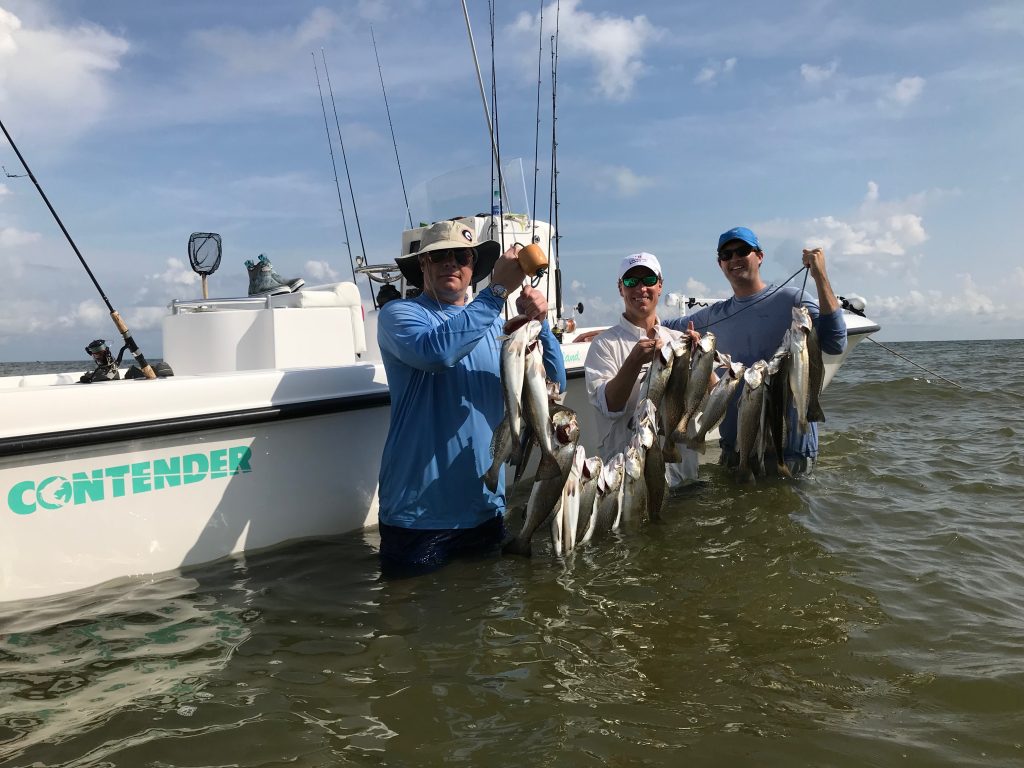surf fishing for speckled trout