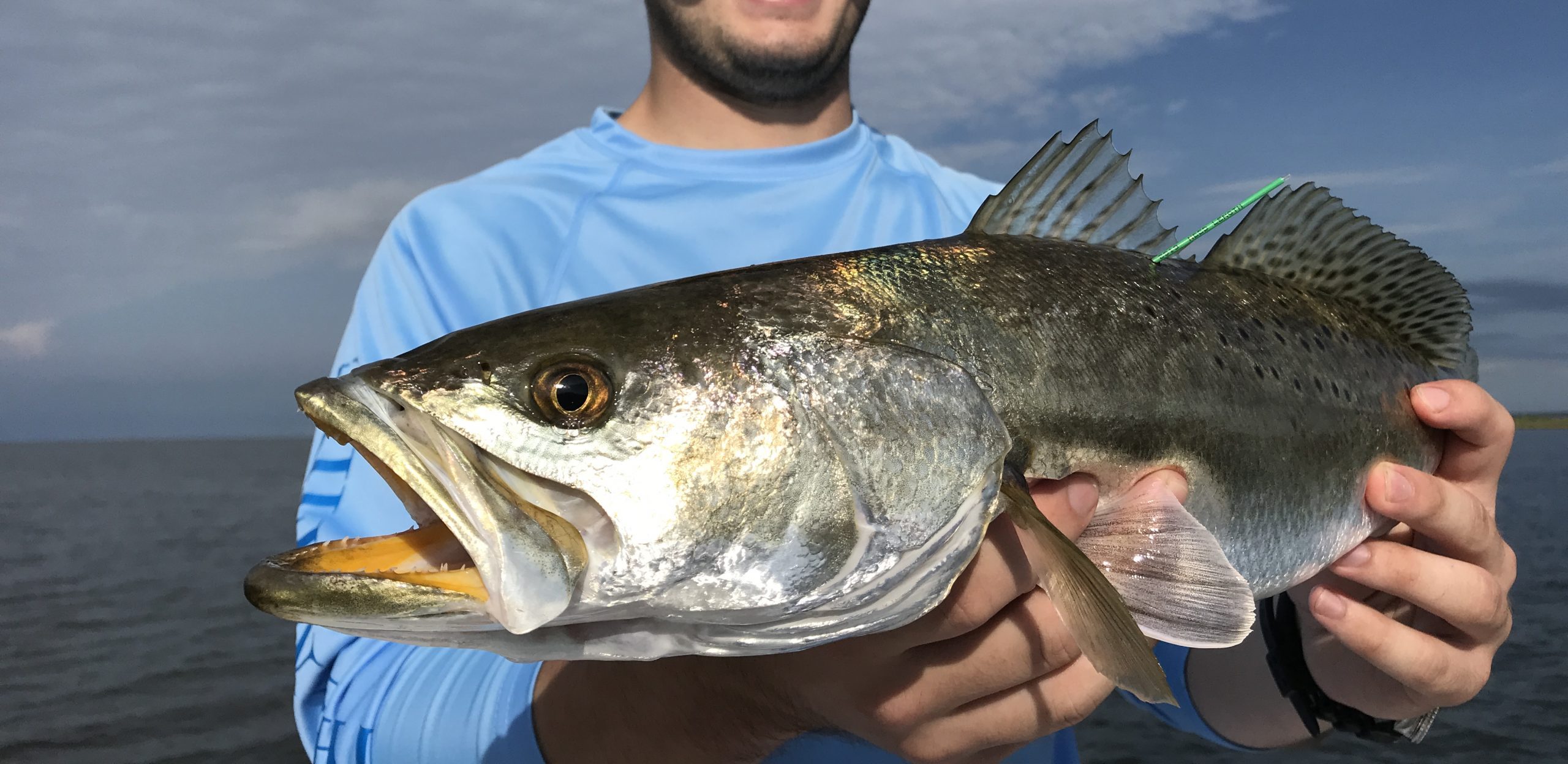 Saltwater Wade Fishing Tips For Catching Speckled Trout