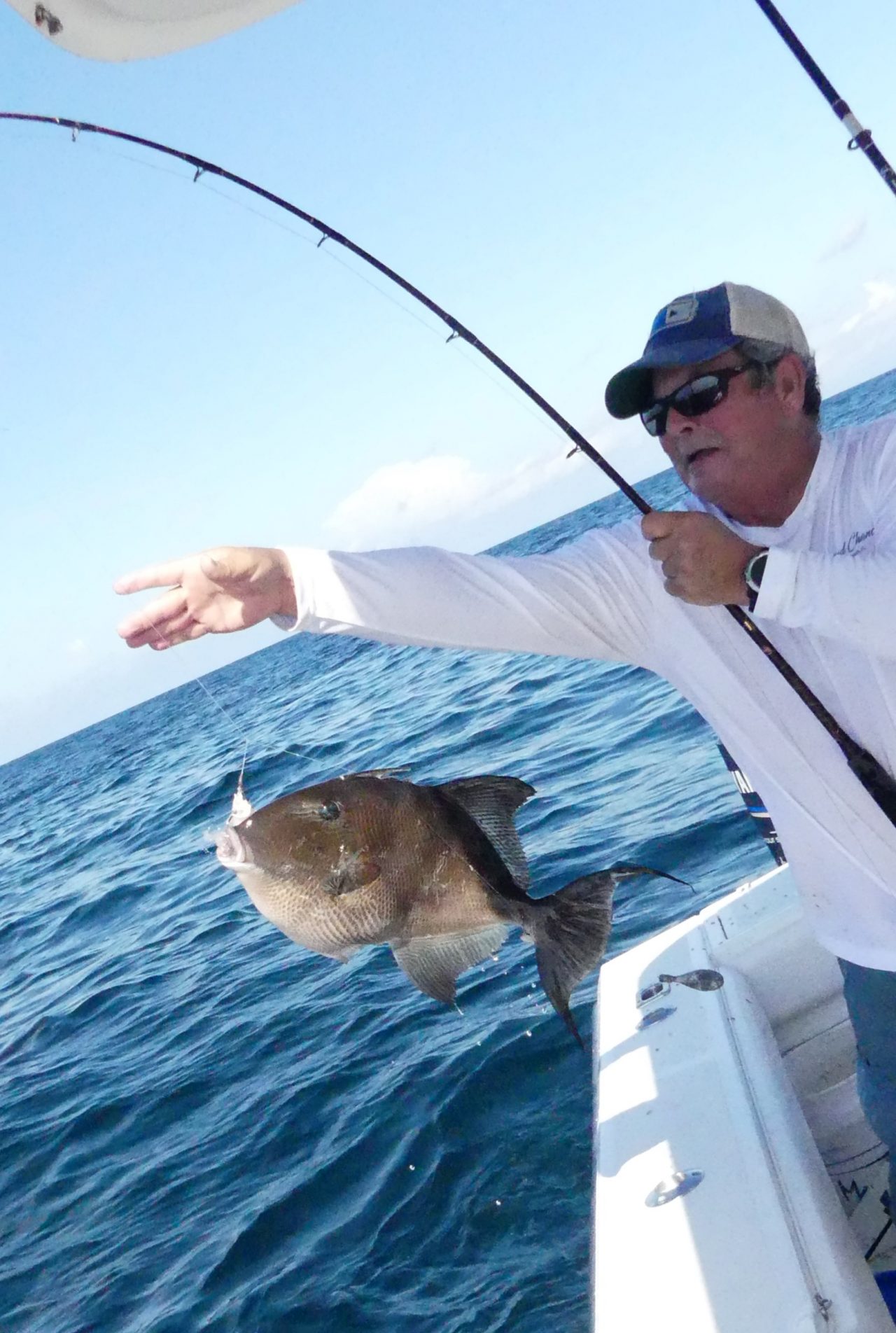 Triggerfish Rig Grey Triggerfish - The Great Taste is Worth The Fight
