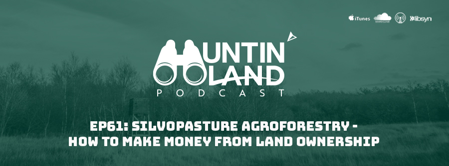 Silvopasture Agroforestry 
