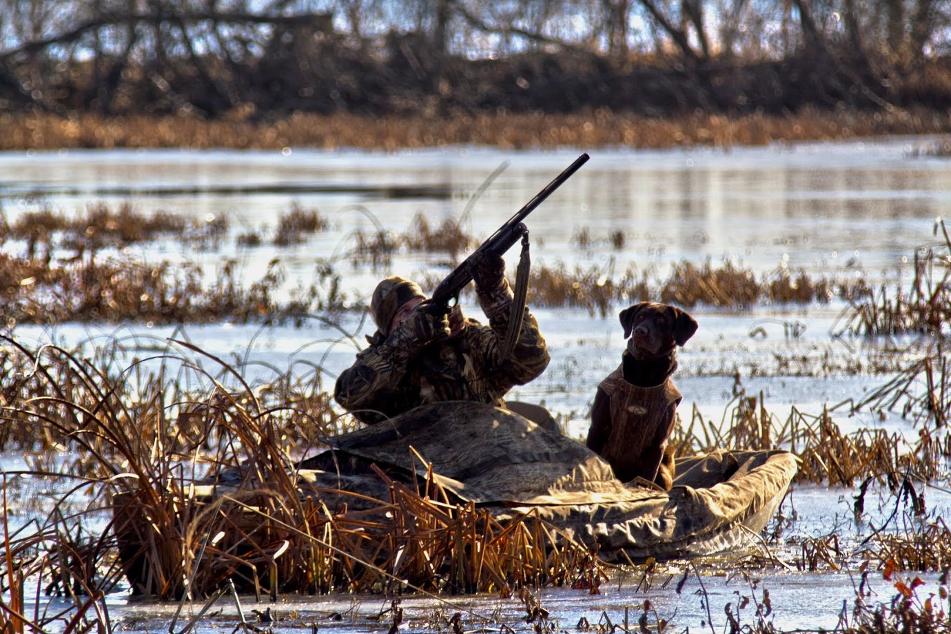 A duck hunter shooting