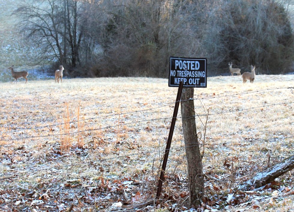 Choosing The Best Hunting Lease Insurance Policy Great Days Outdoors