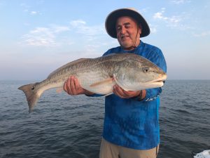 redfish