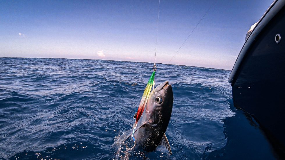 SlowPitch Jigging Explained Great Days Outdoors