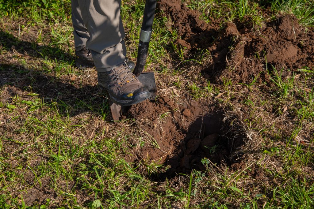 digging a hole to plant a tree