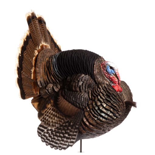 turkey hunting gear decoy