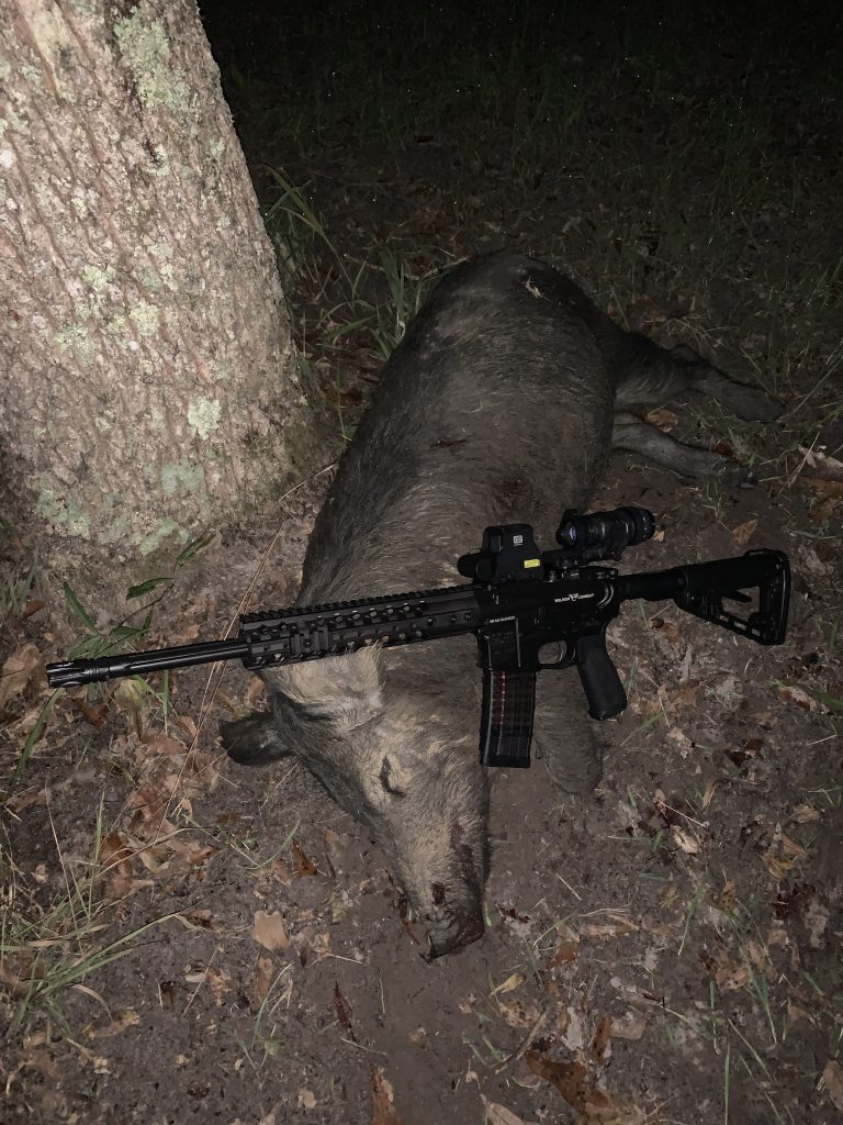 hog killed using night vison scope