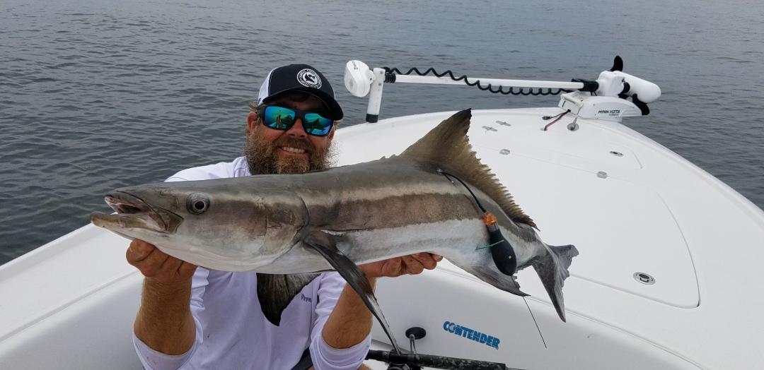 Cobia Fishing Tips – Timing and Techniques