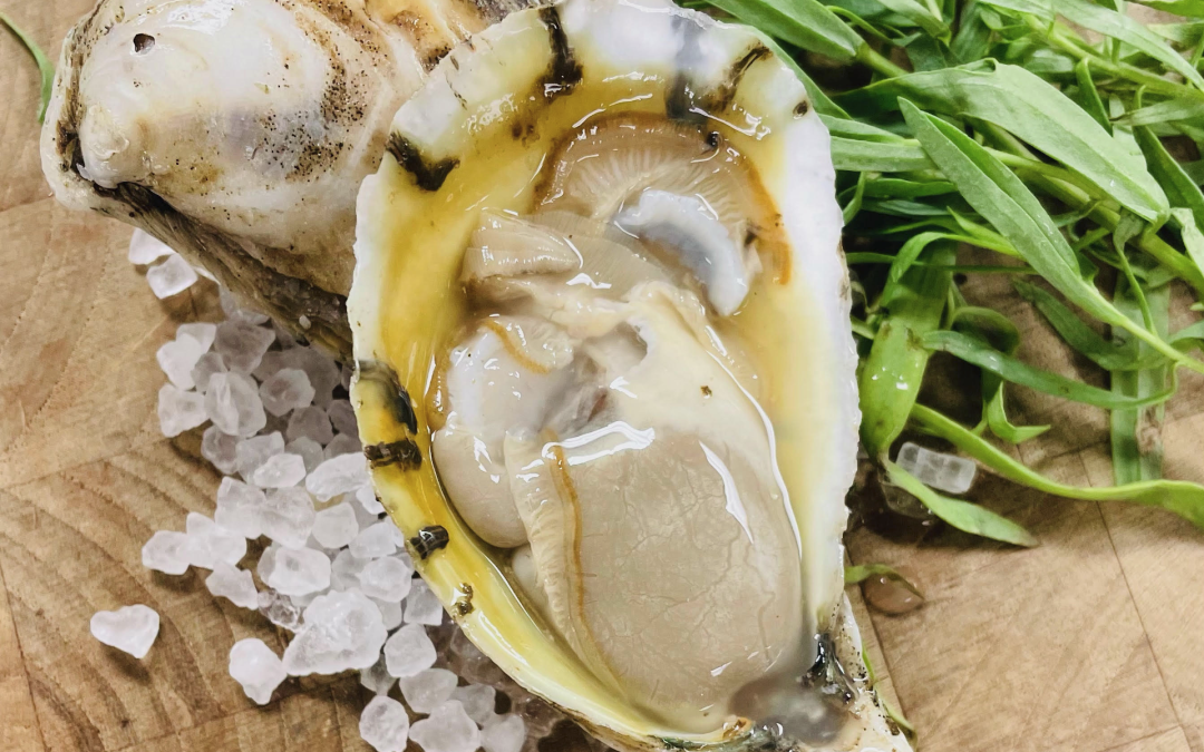 What Do Oysters Taste Like and What Creates Their Flavor?