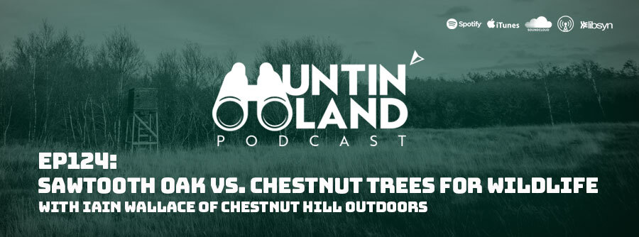 Ep 124: Sawtooth Oak Vs Chestnut Trees For Wildlife