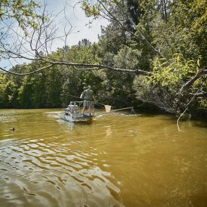 Pond And Lake Restoration Step 1: Electrofishing