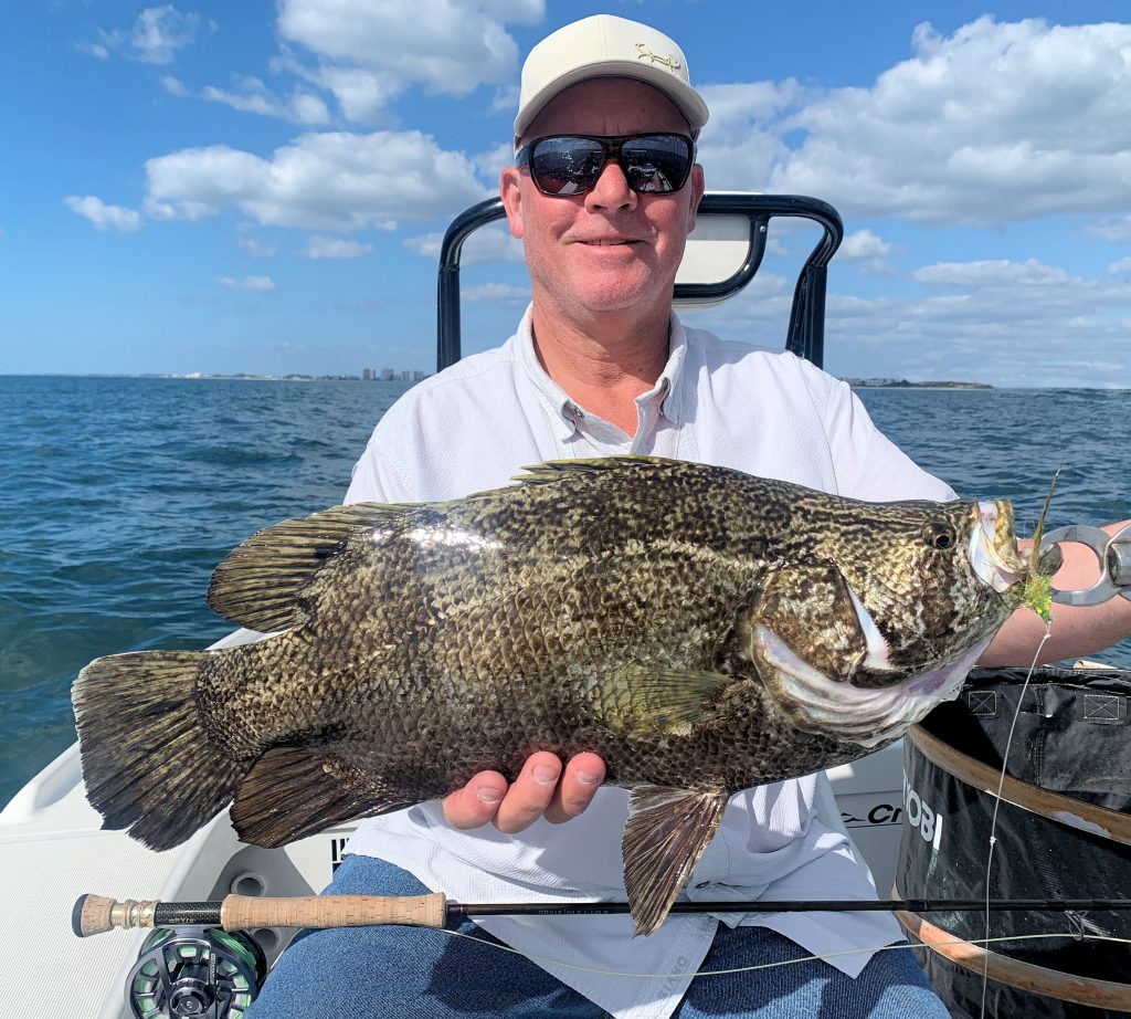 tripletail on a fly 