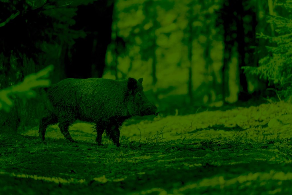 Picking the Best Night Vision Scope for Your Purpose Great Days Outdoors