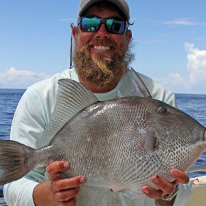 How To Catch Triggerfish And Beeliner
