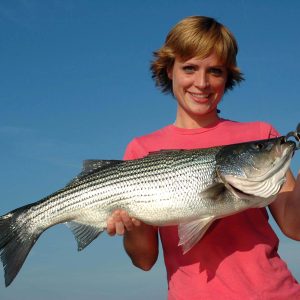 Tips For Catching Freshwater Striped Bass