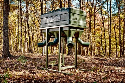 Choosing The Best Gravity Deer Feeders