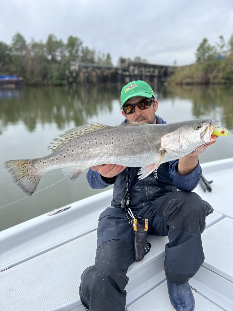 speckled trout lurs