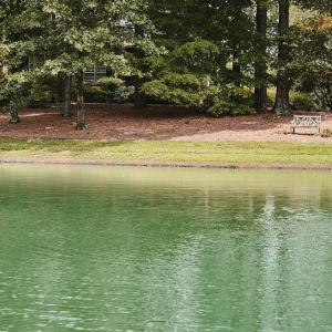 Large Pond Aerator Points To Consider