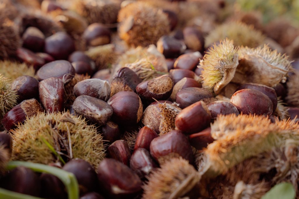 chestnuts for deer