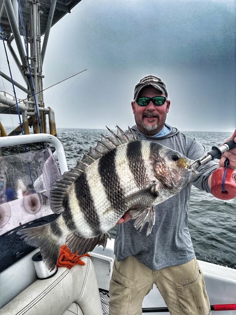 Sheepshead identification is easy if you know what you are looking for. 