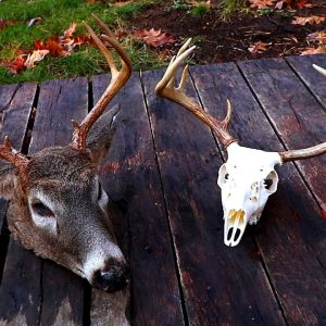 European Mount Hanger Designs and Considerations