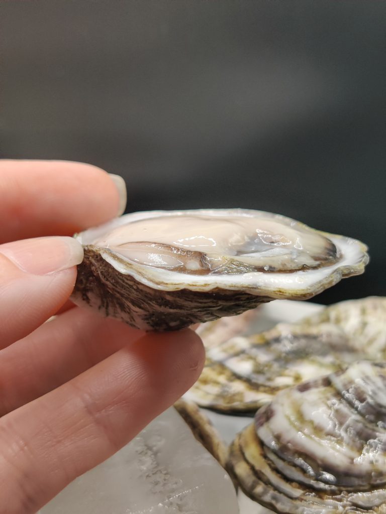 are oysters good for you