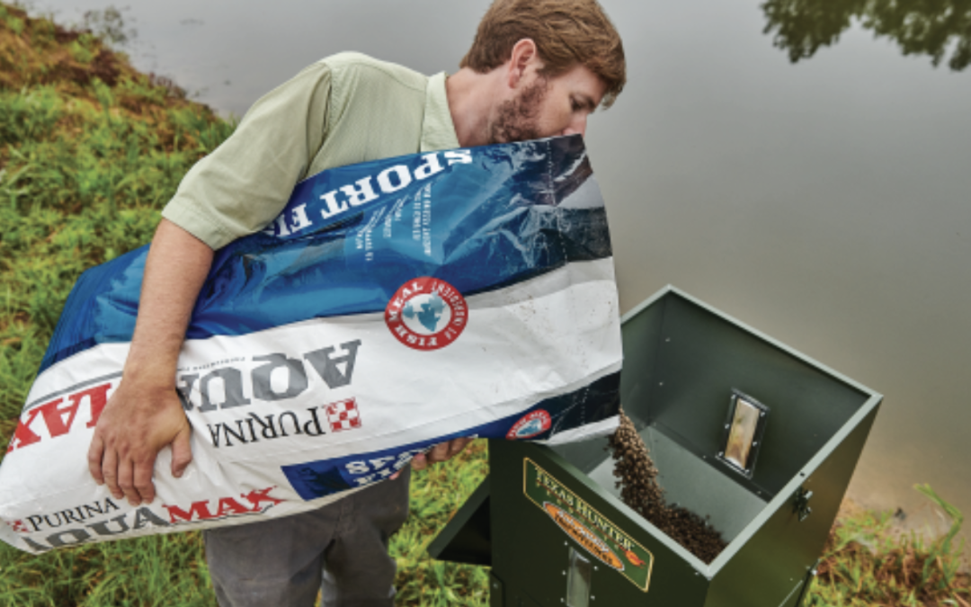 Pond Fish Feeder Options and Points to Consider